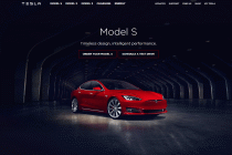 tesla pic